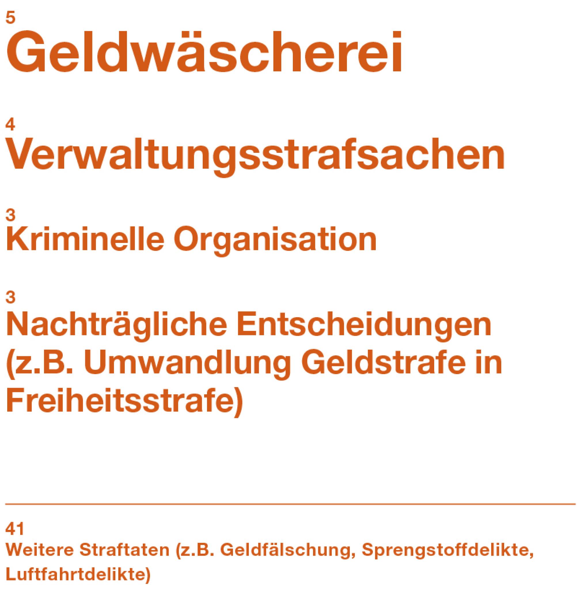 Im Jahr 2022 hat die Strafkammer des Bundesstrafgerichts 56 Verfahren abgeschlossen. Die Themen der Verfahren waren sehr unterschiedlich. Es gab zum Beispiel Gerichtsfälle zu kriminellen Organisationen, Geldwäscherei oder Verwaltungsstrafsachen.